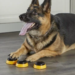 Hunger For Words TALKING PET NEXT WORDS NAMES 13 Hunger For Words TALKING PET NEXT WORDS NAMES -ROYAL CANIN Soldes Magasin fre pl Hunger for Words TALKING PET NEXT WORDS NAMES 29733 6