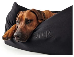 Hunter Gent Sofa Antibactérien Pour Chiens Noir Taille M -ROYAL CANIN Soldes Magasin fre pl Hunter Gent Sofa Antibacterien pour chiens Noir Taille M 16606 2
