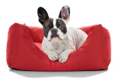 Hunter Gent Sofa Antibactérien Pour Chiens Rouge Taille M -ROYAL CANIN Soldes Magasin fre pl Hunter Gent Sofa Antibacterien pour chiens Rouge Taille M 16604 2