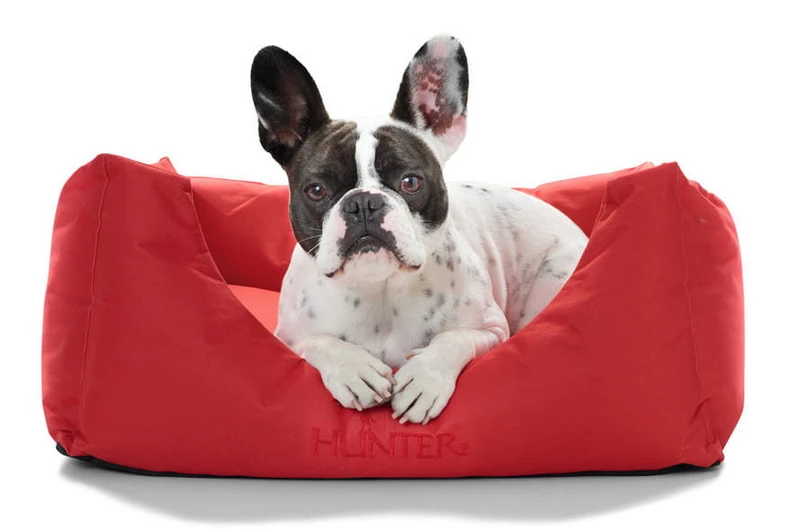 Hunter Gent Sofa Antibactérien Pour Chiens Rouge Taille S 4 Hunter Gent Sofa Antibactérien Pour Chiens Rouge Taille S – Image 2