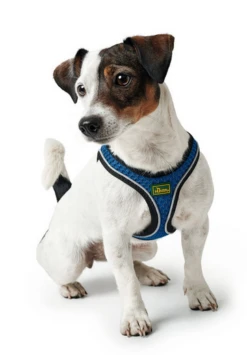 Hunter Hilo Comfort Harnais Pour Chien Bleu Marine Taille S -ROYAL CANIN Soldes Magasin fre pl Hunter Hilo Comfort Harnais pour chien Bleu marine Taille S 16648 4