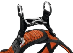Hunter Hilo Comfort Harnais Pour Chien Orange Taille M/L 6 Hunter Hilo Comfort Harnais Pour Chien Orange Taille M/L -ROYAL CANIN Soldes Magasin fre pl Hunter Hilo Comfort Harnais pour chien Orange Taille M L 20659 2