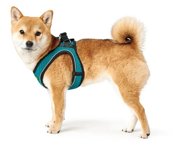 Hunter Hilo Comfort Harnais Pour Chien Turquoise Taille XS 5 Hunter Hilo Comfort Harnais Pour Chien Turquoise Taille XS – Image 3
