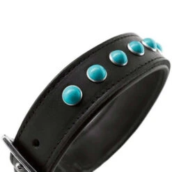 Hunter Modica Collier Pour Chien En Cuir XXS-XS 25cm -ROYAL CANIN Soldes Magasin fre pl Hunter Modica collier pour chien en cuir XXS XS 25cm 28229 4