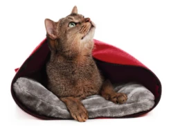 Hunter By Laura Caverne Pour Chats Rouge -ROYAL CANIN Soldes Magasin fre pl Hunter by Laura Caverne pour Chats rouge 16630 3