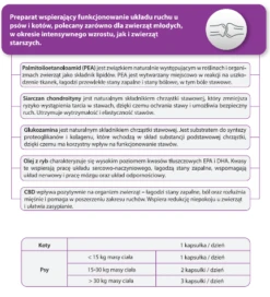 JM SANTE Multiway Vet Duocaps Osteo 60tabl. 5 JM SANTE Multiway Vet Duocaps Osteo 60tabl. -ROYAL CANIN Soldes Magasin fre pl JM SANTE Multiway Vet Duocaps Osteo 60tabl 30200 2