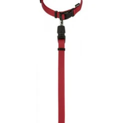 KERBL GoLeyGo 2.0 Ensemble Laisse + Collier Rouge Pour Chien 10mm X 29-45cm, S -ROYAL CANIN Soldes Magasin fre pl KERBL GoLeyGo 2 0 Ensemble laisse collier Rouge pour Chien 10mm x 29 45cm S 12875 3