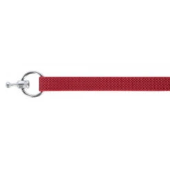 KERBL GoLeyGo 2.0 Ensemble Laisse + Collier Rouge Pour Chien 10mm X 29-45cm, S -ROYAL CANIN Soldes Magasin fre pl KERBL GoLeyGo 2 0 Ensemble laisse collier Rouge pour Chien 10mm x 29 45cm S 12875 4