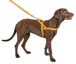 KERBL Harnais Réfléchissant Norvégien 40cm 5 KERBL Harnais Réfléchissant Norvégien 40cm -ROYAL CANIN Soldes Magasin fre pl KERBL Harnais reflechissant Norvegien 40cm 24666 2