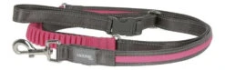 Dingo KERBL Laisse De Course Fluorescente Light & Reflex Rose 250cm