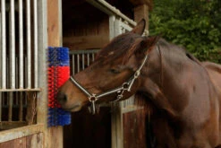 KERBL Petit Abreuvoir Pour Chevaux Et Bovins, Simple, 22 X 50 X 9 Cm -ROYAL CANIN Soldes Magasin fre pl KERBL Petit abreuvoir pour chevaux et bovins simple 22 x 50 x 9 cm 27946 3