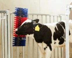 KERBL Petit Abreuvoir Pour Chevaux Et Bovins, Simple, 22 X 50 X 9 Cm -ROYAL CANIN Soldes Magasin fre pl KERBL Petit abreuvoir pour chevaux et bovins simple 22 x 50 x 9 cm 27946 4