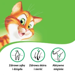 KITEKAT - Nourriture Sèche Pour Chats Avec Poisson Et Aux Légumes 12kg -ROYAL CANIN Soldes Magasin fre pl KITEKAT nourriture seche pour chats avec poisson et aux legumes 12kg 11449 5