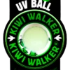 Kiwi Walker Let's Play GLOW BALL Maxi Balle -ROYAL CANIN Soldes Magasin fre pl Kiwi Walker Lets Play GLOW BALL Maxi balle 29862 1