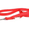 Laisse Réglable DogStuffs - Rouge 15mm/220cm