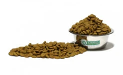 NATURES PROTECTION Extra Salmon 12kg 6 NATURES PROTECTION Extra Salmon 12kg -ROYAL CANIN Soldes Magasin fre pl NATURES PROTECTION Extra Salmon 12kg 15779 4