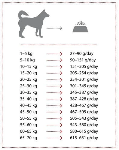 NATURES PROTECTION Extra Salmon 12kg 5 NATURES PROTECTION Extra Salmon 12kg – Image 3
