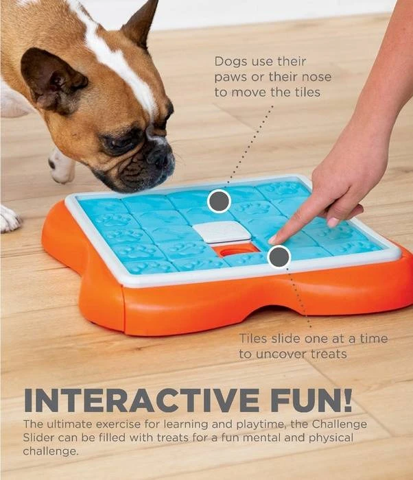 Nina Ottosson Dog Challenge Slider - Un Jeu Interactif Pour Les Chiens - Niveau 3. 6 Nina Ottosson Dog Challenge Slider - Un Jeu Interactif Pour Les Chiens - Niveau 3. – Image 4