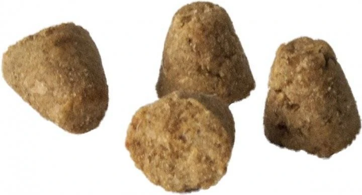 Oven Baked Tradition Cat Food Adults Of All Life Style With Fish Au Poisson 2,27kg 4 Oven Baked Tradition Cat Food Adults Of All Life Style With Fish Au Poisson 2,27kg – Image 2