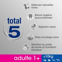 PERFECT FIT Adult 1+ Petites Races Avec Poulet 6kg -ROYAL CANIN Soldes Magasin fre pl PERFECT FIT Adult 1 Petites Races avec Poulet 6kg 9171 4
