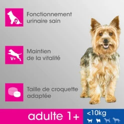 PERFECT FIT Adult 1+ Petites Races Avec Poulet 6kg -ROYAL CANIN Soldes Magasin fre pl PERFECT FIT Adult 1 Petites Races avec Poulet 6kg 9171 9