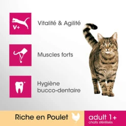 PERFECT FIT Adult 1+ Au Poulet 7kg -ROYAL CANIN Soldes Magasin fre pl PERFECT FIT Adult 1 au poulet 7kg 13968 1
