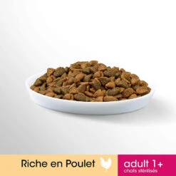 PERFECT FIT Adult 1+ Au Poulet 7kg -ROYAL CANIN Soldes Magasin fre pl PERFECT FIT Adult 1 au poulet 7kg 13968 5