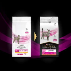 PRO PLAN Veterinary Diets UR St/Ox Urinary Croquettes Pour Chat 5kg 7 PRO PLAN Veterinary Diets UR St/Ox Urinary Croquettes Pour Chat 5kg -ROYAL CANIN Soldes Magasin fre pl PRO PLAN Veterinary Diets UR St Ox Urinary croquettes pour chat 5kg 16323 3