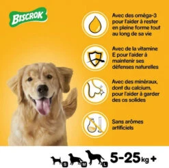 Pedigree Biscrok Biscuits Pour Chiens Adultes Sous Forme De Petits Os Avec De L'agneau, Du Poulet Et Du Bœuf 200g X2 -ROYAL CANIN Soldes Magasin fre pl Pedigree Biscrok Biscuits Pour chiens adultes sous forme de petits os avec de lagneau du poulet et du boeuf 200g x2 30141 6