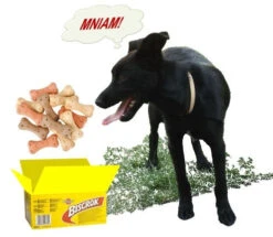 Pedigree Biscrok Biscuits Pour Chiens Adultes Sous Forme D'os Avec De L'agneau, Du Poulet Et Du Bœuf 500g X2 -ROYAL CANIN Soldes Magasin fre pl Pedigree Biscrok Biscuits Pour chiens adultes sous forme dos avec de lagneau du poulet et du boeuf 500g x2 30143 3