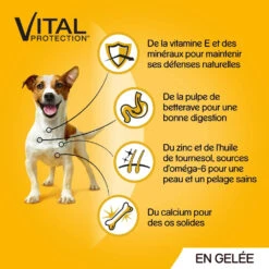 Pedigree Croquettes Humides En Gelée Pour Chiens Adultes Avec Boeuf, Poulet, Agneau, Volaille 12x100g 10 Pedigree Croquettes Humides En Gelée Pour Chiens Adultes Avec Boeuf, Poulet, Agneau, Volaille 12x100g -ROYAL CANIN Soldes Magasin fre pl Pedigree Croquettes humides en gelee pour chiens adultes avec boeuf poulet agneau volaille 12x100g 9891 4