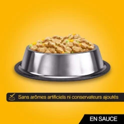 Pedigree Croquettes Pour Chiens Adultes Au Poulet, Au Bœuf, à La Dinde Et à L'agneau 12x100g -ROYAL CANIN Soldes Magasin fre pl Pedigree Croquettes pour chiens adultes au poulet au boeuf a la dinde et a lagneau 12x100g 9892 6