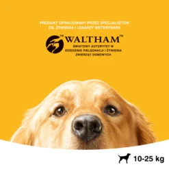 Pedigree Croquettes Pour Chiens Adultes De Race Moyenne Avec Boeuf Et Volaille 15kg -ROYAL CANIN Soldes Magasin fre pl Pedigree Croquettes pour chiens adultes de race moyenne avec boeuf et volaille 15kg 14100 4