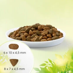 Perfect Fit™ Natural Vitality - Aliment Complet Sec Pour Chats Adultes, Au Bœuf Et Au Poulet - 6kg. -ROYAL CANIN Soldes Magasin fre pl Perfect Fit TM Natural Vitality aliment complet sec pour chats adultes au boeuf et au poulet 6kg 26902 4