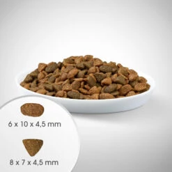 Perfect Fit™ - Aliment Complet Sec Pour Chats Adultes, Riche En Viande De Bœuf 7kg 10 Perfect Fit™ - Aliment Complet Sec Pour Chats Adultes, Riche En Viande De Bœuf 7kg -ROYAL CANIN Soldes Magasin fre pl Perfect Fit TM aliment complet sec pour chats adultes riche en viande de boeuf 7kg 26905 4
