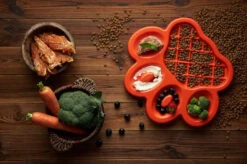 Pet Dream House Bol D'alimentation Lente Orange Easy -ROYAL CANIN Soldes Magasin fre pl Pet Dream House bol dalimentation lente Orange Easy 26099 2