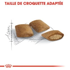 ROYAL CANIN Ageing +12 4kg 12 ROYAL CANIN Ageing +12 4kg -ROYAL CANIN Soldes Magasin fre pl ROYAL CANIN Ageing 12 4kg 15948 5