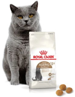 ROYAL CANIN Ageing Sterilised +12 2kg -ROYAL CANIN Soldes Magasin fre pl ROYAL CANIN Ageing Sterilised 12 2kg 16900 4