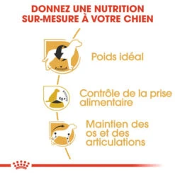 ROYAL CANIN Beagle Adult 12kg X2 11 ROYAL CANIN Beagle Adult 12kg X2 -ROYAL CANIN Soldes Magasin fre pl ROYAL CANIN Beagle Adult 12kg x2 30601 4