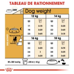 ROYAL CANIN Beagle Adult 12kg X2 12 ROYAL CANIN Beagle Adult 12kg X2 -ROYAL CANIN Soldes Magasin fre pl ROYAL CANIN Beagle Adult 12kg x2 30601 5