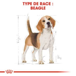 ROYAL CANIN Beagle Adult 12kg X2 13 ROYAL CANIN Beagle Adult 12kg X2 -ROYAL CANIN Soldes Magasin fre pl ROYAL CANIN Beagle Adult 12kg x2 30601 6