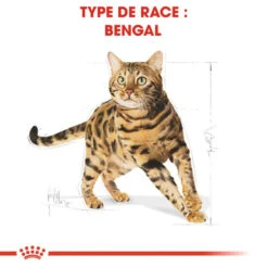 ROYAL CANIN Bengal Adult 10kg -ROYAL CANIN Soldes Magasin fre pl ROYAL CANIN Bengal Adult 10kg 15888 3