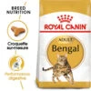 ROYAL CANIN Bengal Adult 2kg -ROYAL CANIN Soldes Magasin fre pl ROYAL CANIN Bengal Adult 2kg 15883 1