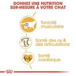 ROYAL CANIN British Shorthair Adult 4kg -ROYAL CANIN Soldes Magasin fre pl ROYAL CANIN British Shorthair Adult 4kg 15954 4