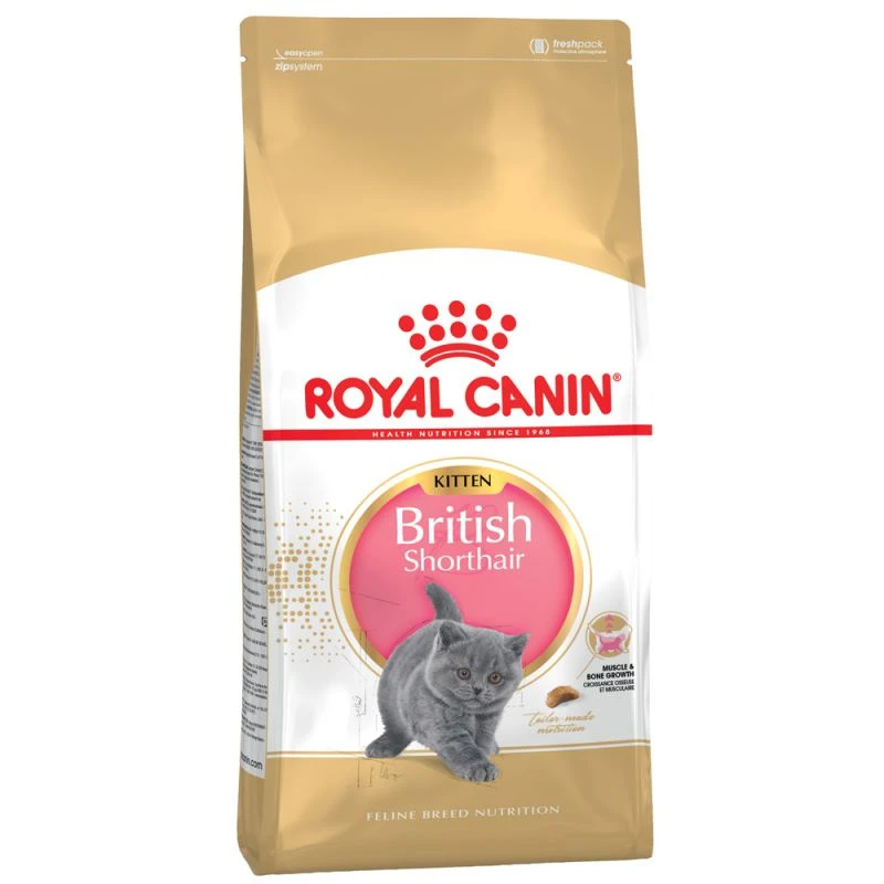 ROYAL CANIN British Shorthair Kitten 10kg 4 ROYAL CANIN British Shorthair Kitten 10kg – Image 2