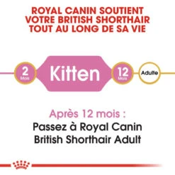 ROYAL CANIN British Shorthair Kitten 10kg 10 ROYAL CANIN British Shorthair Kitten 10kg -ROYAL CANIN Soldes Magasin fre pl ROYAL CANIN British Shorthair Kitten 10kg 16887 3