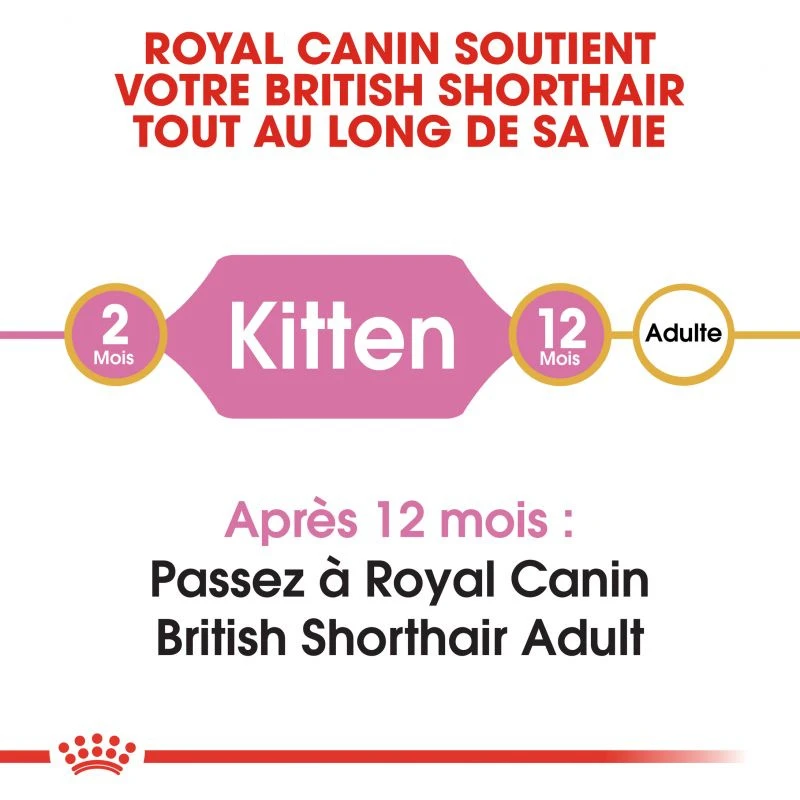 ROYAL CANIN British Shorthair Kitten 10kg 5 ROYAL CANIN British Shorthair Kitten 10kg – Image 3