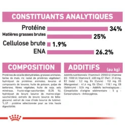ROYAL CANIN British Shorthair Kitten 10kg 12 ROYAL CANIN British Shorthair Kitten 10kg -ROYAL CANIN Soldes Magasin fre pl ROYAL CANIN British Shorthair Kitten 10kg 16887 5