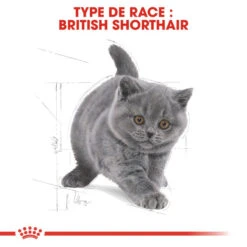 ROYAL CANIN British Shorthair Kitten 400g X2 -ROYAL CANIN Soldes Magasin fre pl ROYAL CANIN British Shorthair Kitten 400g x2 30593 7