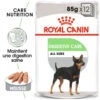 ROYAL CANIN CCN Digestive Care Pâté 12x85g 2 ROYAL CANIN CCN Digestive Care Pâté 12x85g -ROYAL CANIN Soldes Magasin fre pl ROYAL CANIN CCN Digestive Care Pate 12x85g 10093 1